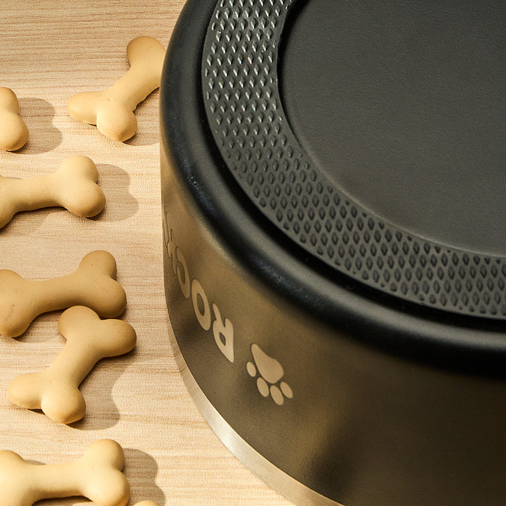 Personalized 32oz Dog Bowl