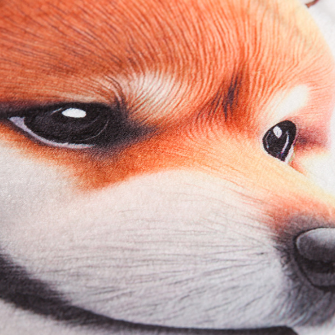 Funny Pet Portrait Blanket