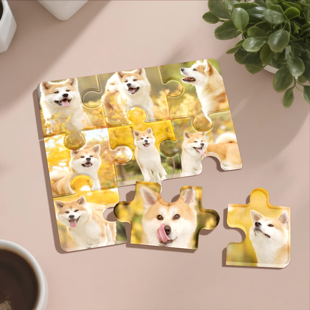 Personalized Pet Photo Fridge Magnet