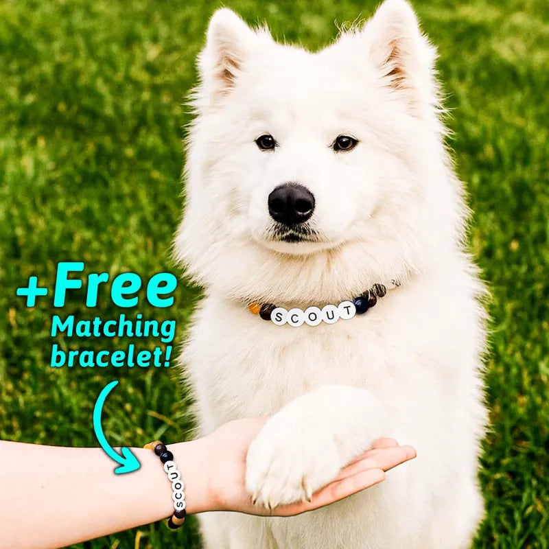 Pet Name Necklace + Free Bracelet