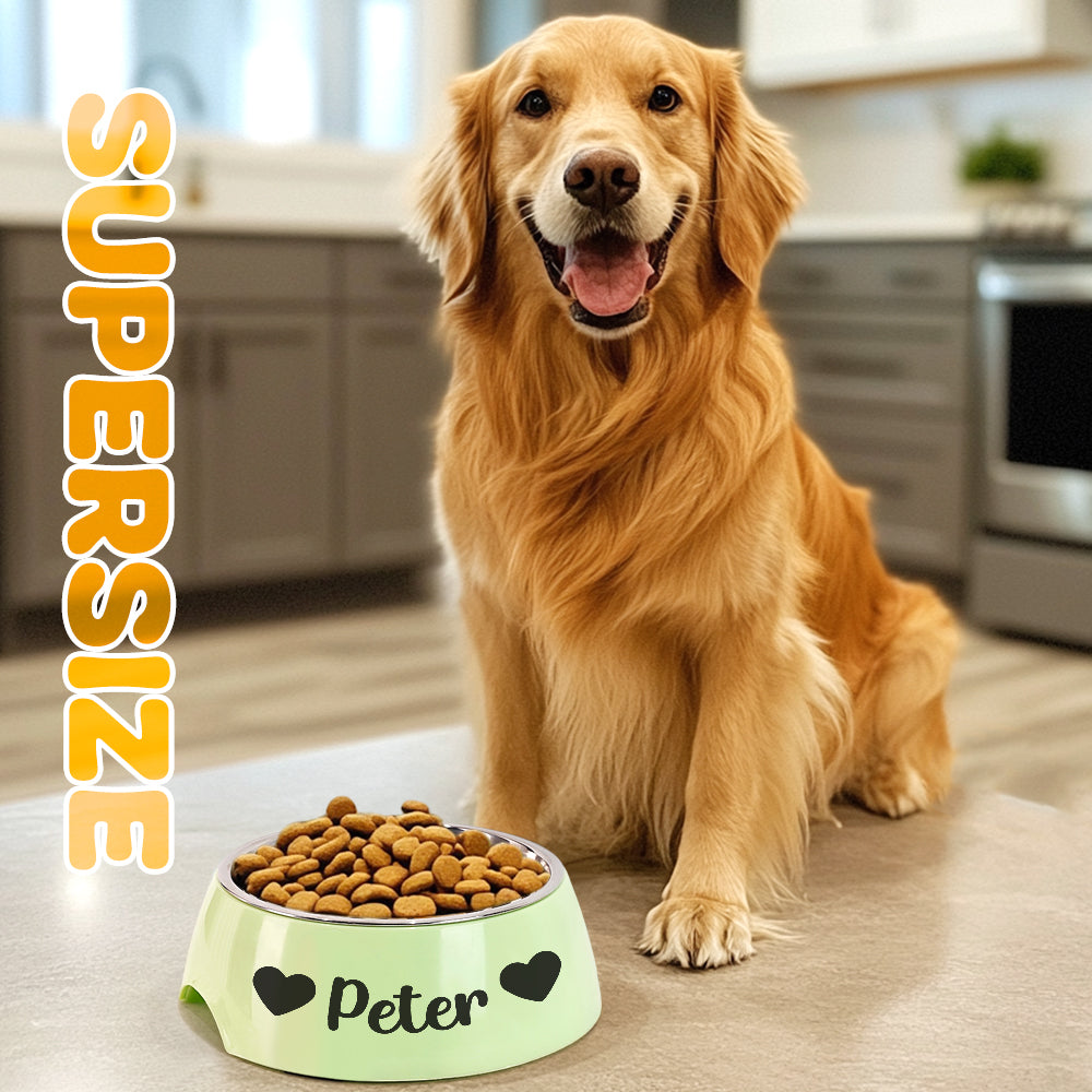 Stainless Steel Pet Bowl