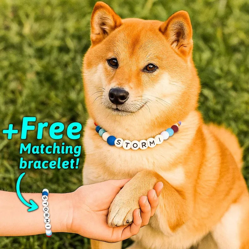 Pet Name Necklace + Free Bracelet