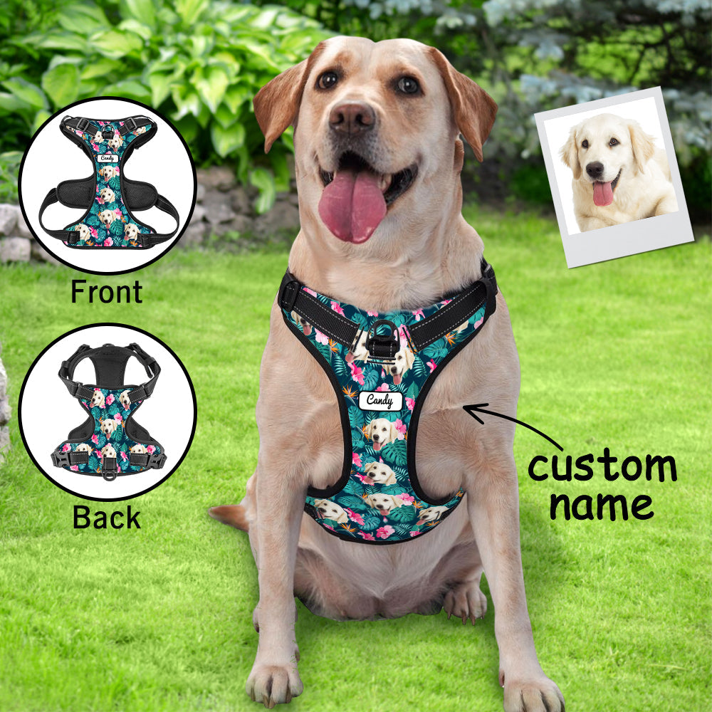 Hawaiian No-Pull Dog Harness
