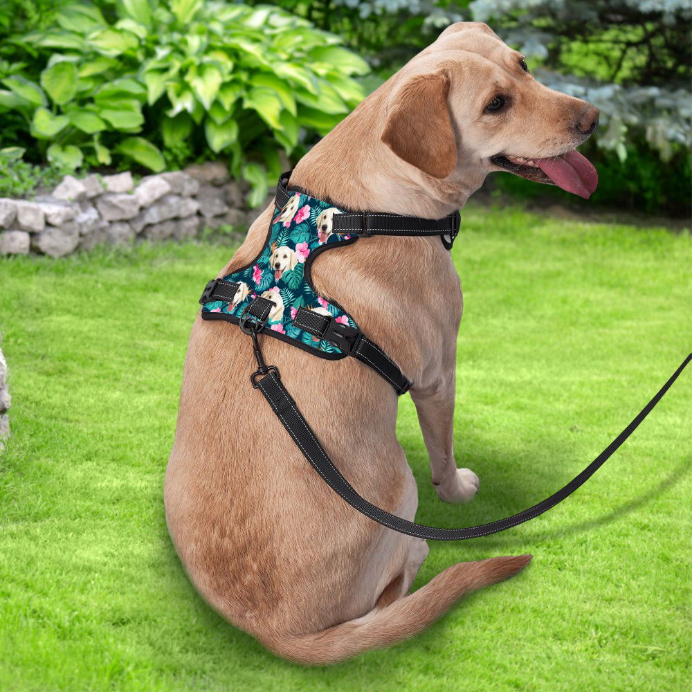 Hawaiian No-Pull Dog Harness