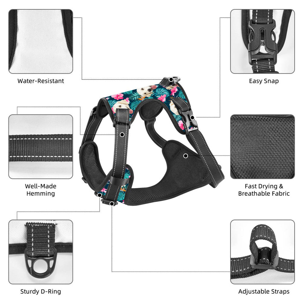 Hawaiian No-Pull Dog Harness