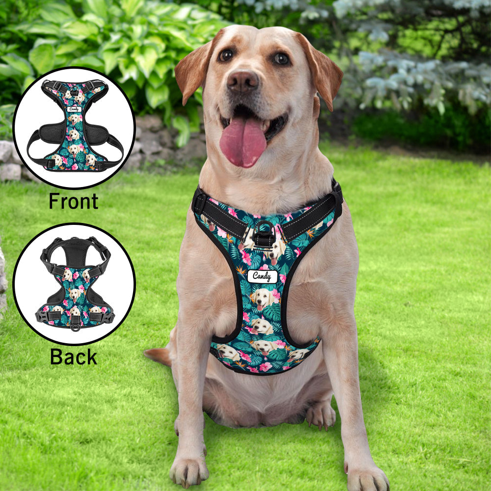 Hawaiian No-Pull Dog Harness
