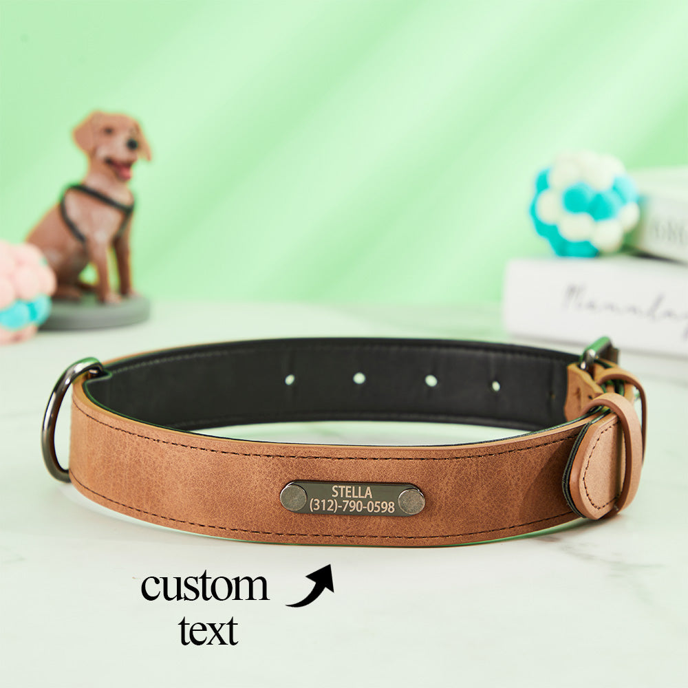Engraved Leather Dog Collar