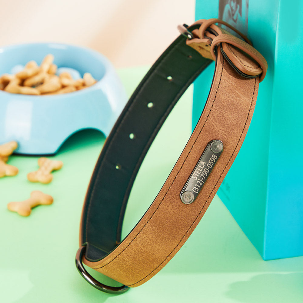 Engraved Leather Dog Collar