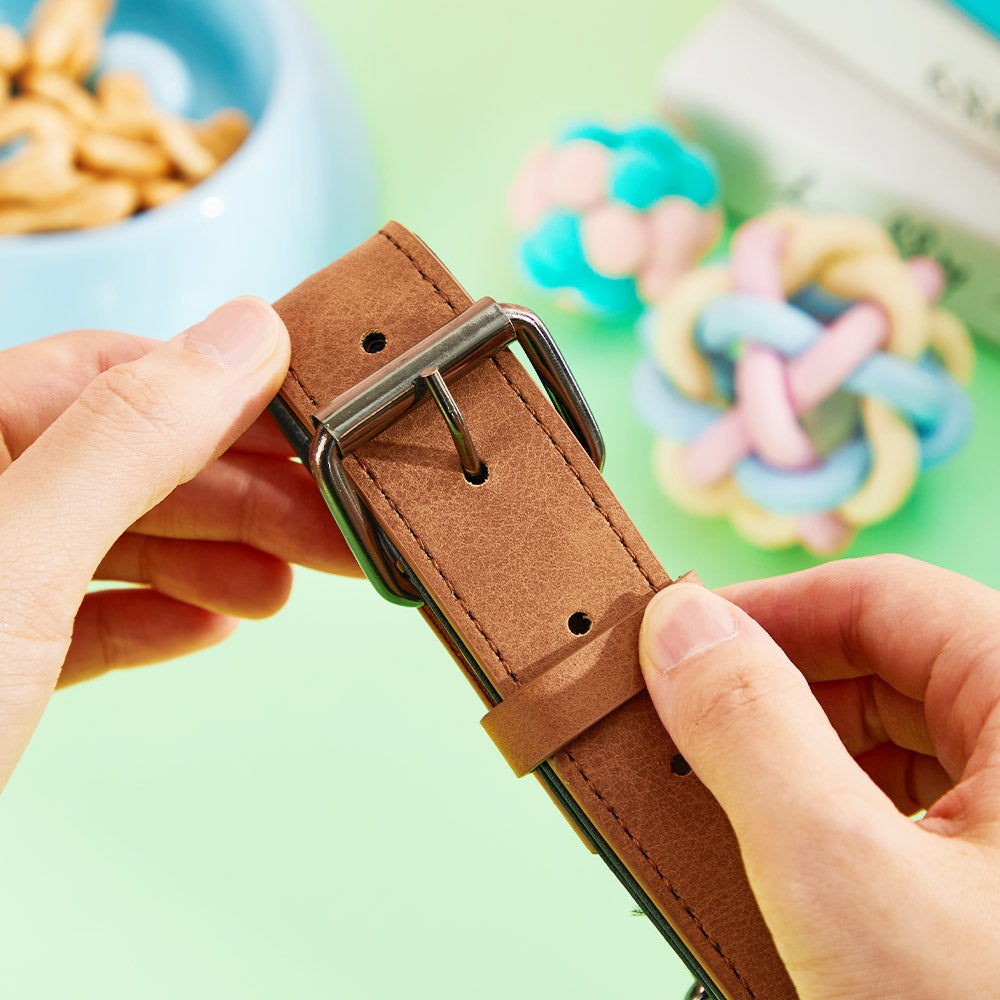 Engraved Leather Dog Collar