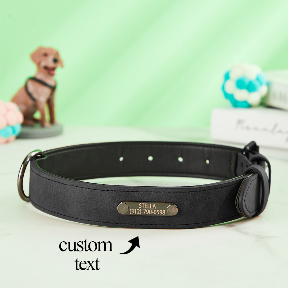 Engraved Leather Dog Collar