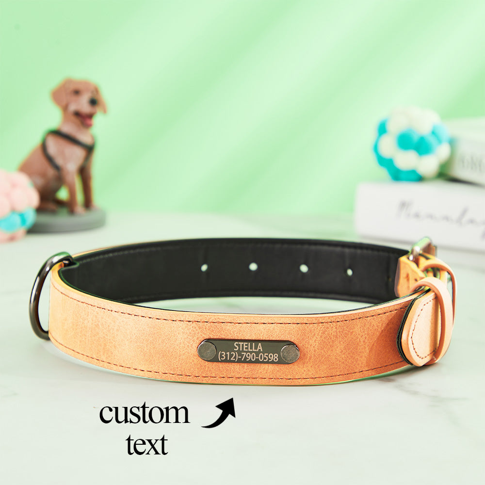 Engraved Leather Dog Collar