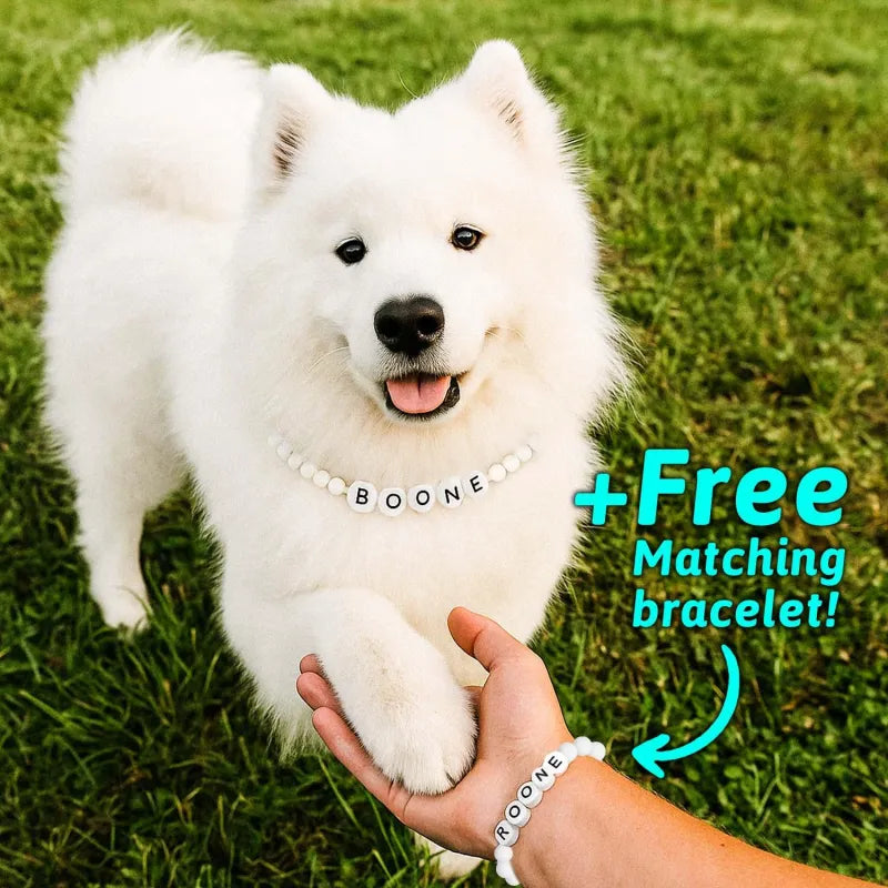Pet Name Necklace + Free Bracelet
