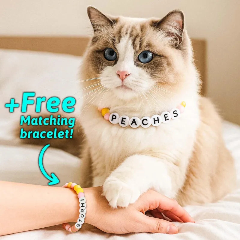 Pet Name Necklace + Free Bracelet