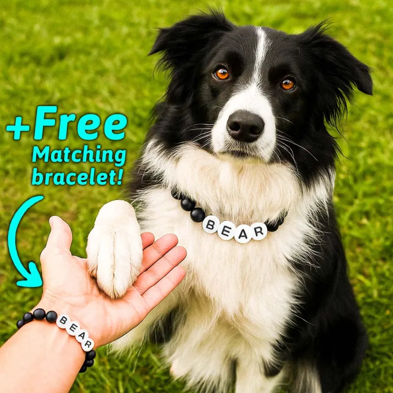 Pet Name Necklace + Free Bracelet
